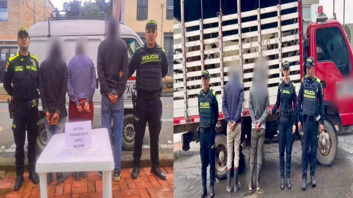 Policía Nacional capturó a cinco personas por robar ganado en Cundinamarca La Policía de Cundinamarca logró capturar en flagrancia a cinco personas que hurtaron ganado con el fin de sacrificarlo para su venta. Así se desarrolló el operativo.
