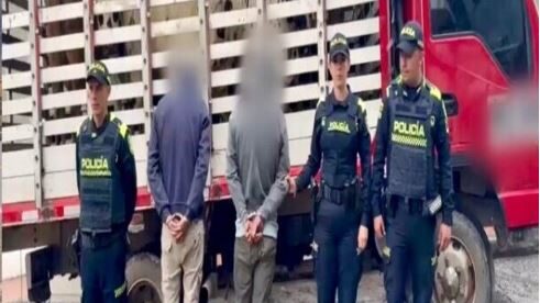Policía Nacional capturó a cinco personas por robar ganado en Cundinamarca La Policía de Cundinamarca logró capturar en flagrancia a cinco personas que hurtaron ganado con el fin de sacrificarlo para su venta. Así se desarrolló el operativo.