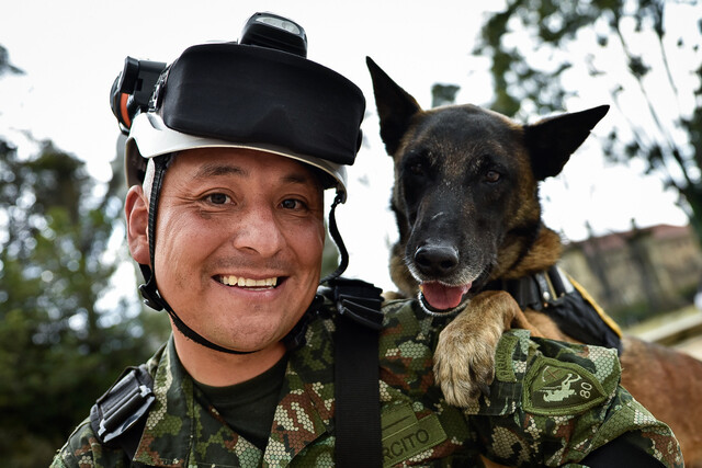Gobierno sancionó la Ley Ángel y Ley Lorenzo para la protección animal 2 Gobierno sancionó la Ley Ángel y Ley Lorenzo para la protección animal En un evento realizado en la plaza de armas, frente a la Casa de Nariño, el Gobierno Nacional sancionó la ley Ángel y la ley Lorenzo, que buscan una mayor protección a los animales en casos judiciales