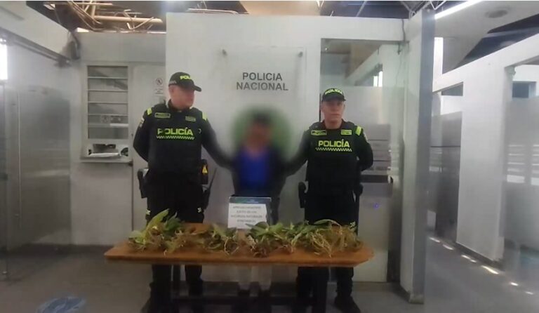 Siete capturados en Bogotá por uso ilegal de recursos naturales en operativos de Semana Santa