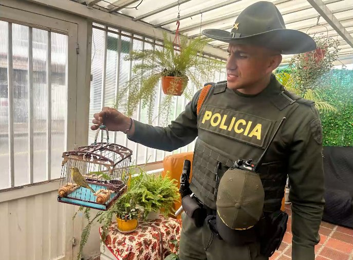 Siete capturados por uso ilegal de recursos naturales en operativos de Semana Santa Siete personas fueron capturadas en Bogotá por explotar ilegalmente recursos naturales. Se intensificaron controles contra el tráfico de especies protegidas y flora prohibida.