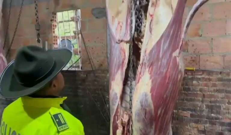 Tres detenidos por operar un matadero clandestino en Ciudad Bolívar (1)