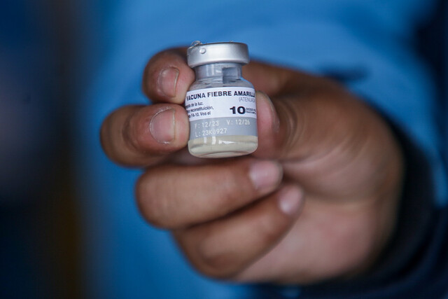 Gobierno publicó decreto que declara la emergencia sanitaria en todo el país El Ministerio de Salud informó que la fiebre amarilla ya deja 79 casos y 36 muertes entre 2024 y lo que va de 2025.