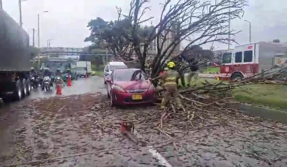 Gigantesco árbol cayó sobre un carro y generó un trancón en Bosa