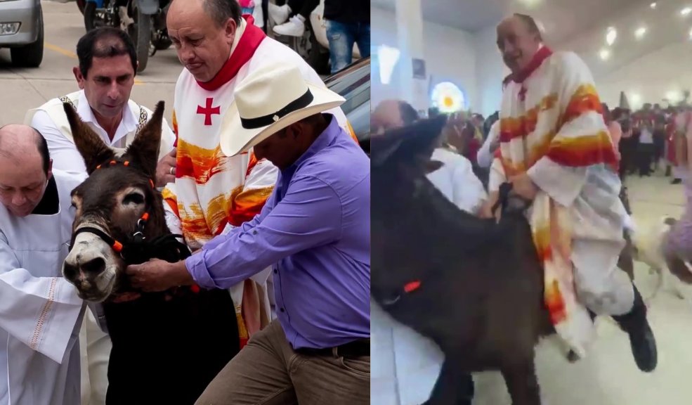 Denuncian maltrato animal contra un burro en iglesia de Zipaquirá 7 Denuncian maltrato animal contra un burro en iglesia de Zipaquirá Ante la situación, el alcalde de Zipaquirá, Fabián Rojas, se pronunció manifestando su rechazo, asegurando que se debe reunir con el sacerdote de la iglesia para que pueda reparar el daño hecho al animal.