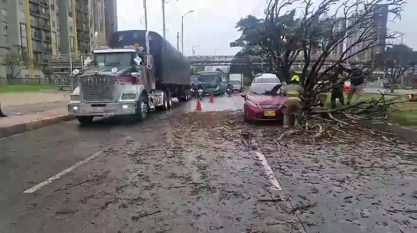 Gigantesco árbol cayó sobre un carro y generó un trancón en Bosa