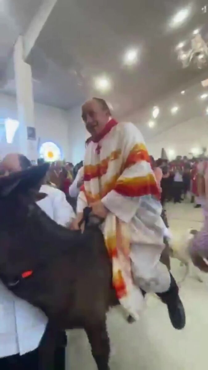 Denuncian maltrato animal contra un burro en iglesia de Zipaquirá 3 Denuncian maltrato animal contra un burro en iglesia de Zipaquirá Ante la situación, el alcalde de Zipaquirá, Fabián Rojas, se pronunció manifestando su rechazo, asegurando que se debe reunir con el sacerdote de la iglesia para que pueda reparar el daño hecho al animal.