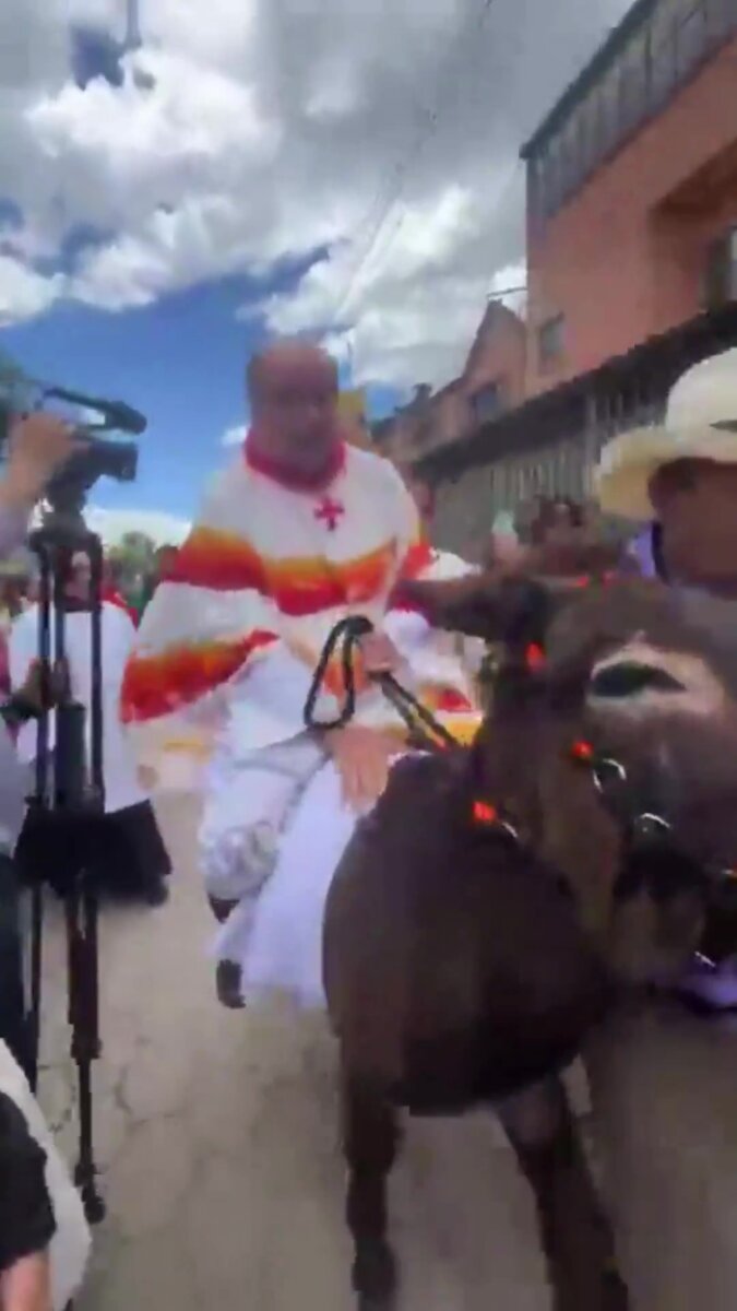 Denuncian maltrato animal contra un burro en iglesia de Zipaquirá 1 Denuncian maltrato animal contra un burro en iglesia de Zipaquirá