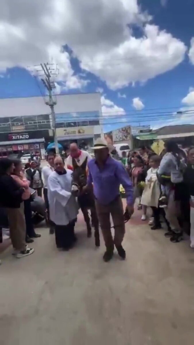 Denuncian maltrato animal contra un burro en iglesia de Zipaquirá 2 Denuncian maltrato animal contra un burro en iglesia de Zipaquirá Ante la situación, el alcalde de Zipaquirá, Fabián Rojas, se pronunció manifestando su rechazo, asegurando que se debe reunir con el sacerdote de la iglesia para que pueda reparar el daño hecho al animal.