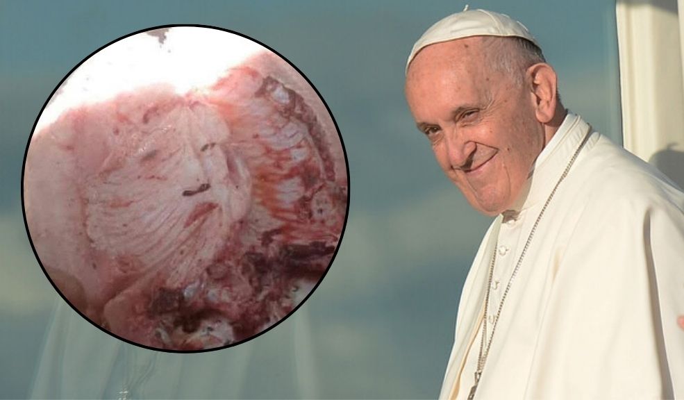 ¿Aparece el rostro de Francisco en un pescado