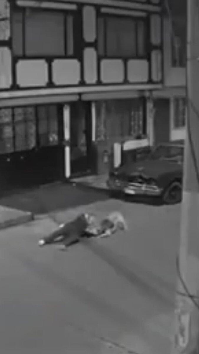 Sujeto utilizó a su perro para atracar en Puente Aranda y lo abandonó tras el robo Las imágenes capturaron de manera clara cómo el bandido intenta obligar al perro a soltar a la víctima pero al final decide abandonarlo.