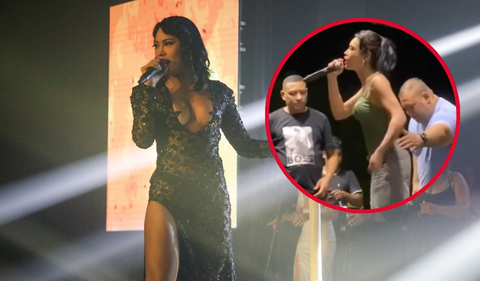 Así reaccionó Ana del Castillo en pleno concierto tras el robo de su celular