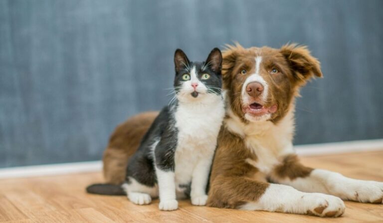 esterilizacion