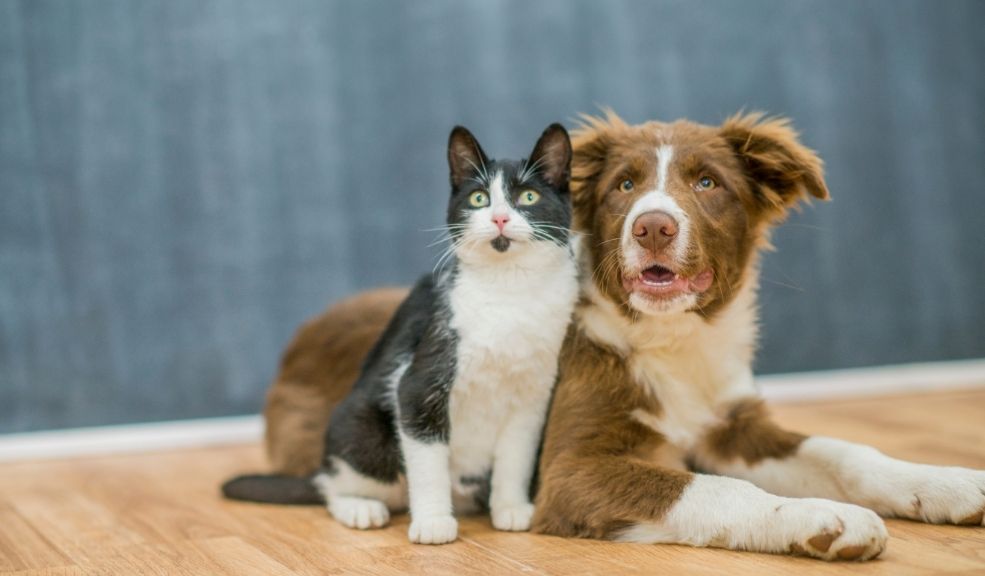 esterilizacion