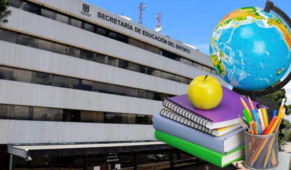 docentes