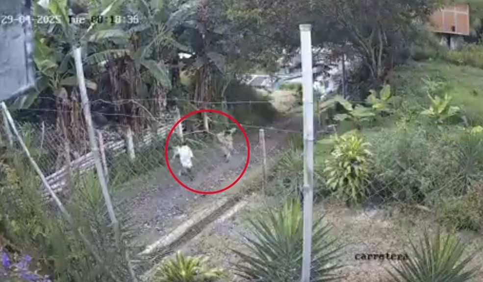 Familia de pastor que habría abusado a su hijastra pide su libertad: "fue posesión demoniaca" Un grupo de seguidores y familiares del pastor, lejos de rechazar lo ocurrido, salieron a pedir su libertad argumentando que J. Ramírez estaba “poseído por un demonio”.