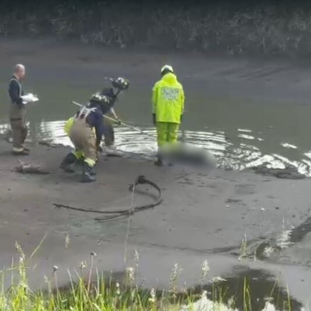 Encontraron un cuerpo flotando en un caño en Engativá