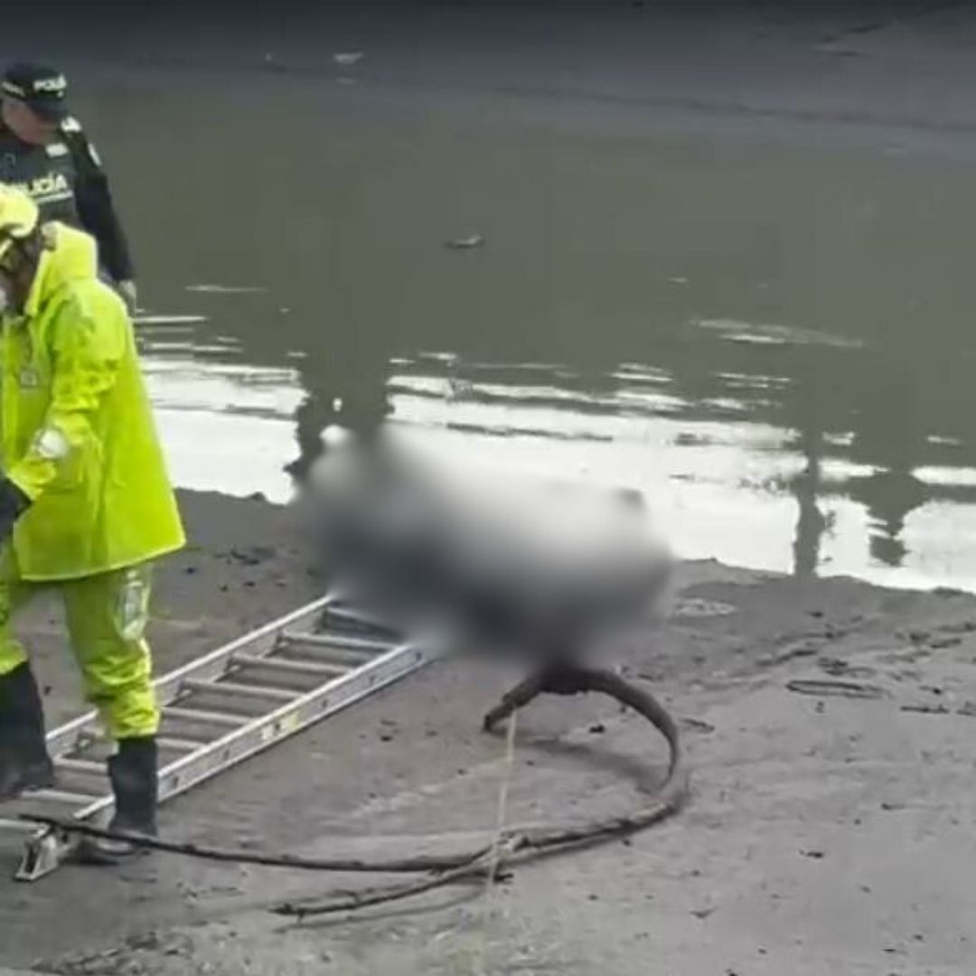Encontraron un cuerpo flotando en un caño en Engativá El cadáver, que ya se encontraba en avanzado estado de descomposición, tuvo que ser extraído con el uso de escaleras y herramientas especiales, dado que estaba atrapado entre basura y agua contaminada.