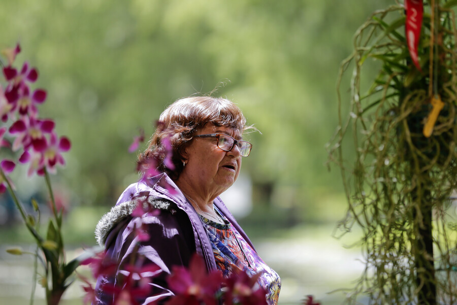 Festival ‘De Huerta en Huerta’ se realizará este 25 de mayo en el Jardín Botánico 2 festival
