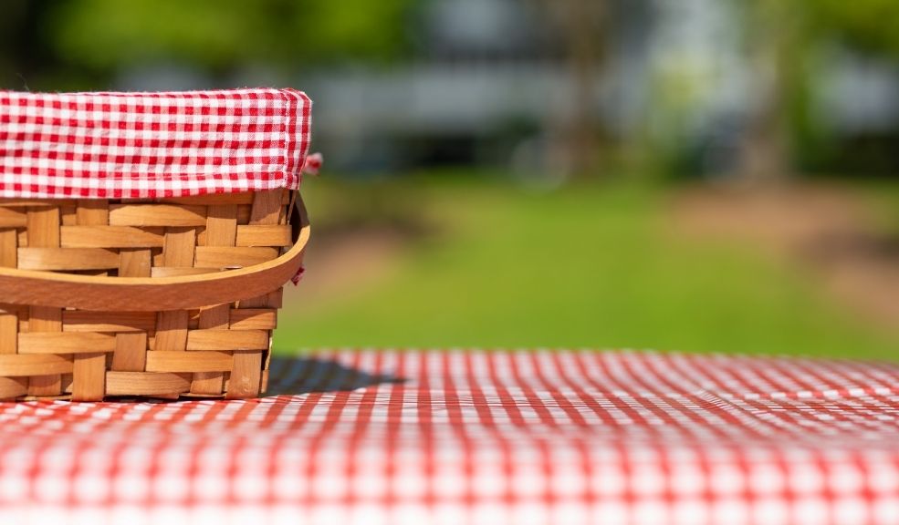 ¡Fiesta para Mamá! Festival Insaciables Picnic 2025 Este evento promete una experiencia inolvidable llena de sabores, música, premios y mucha diversión en un ambiente familiar.