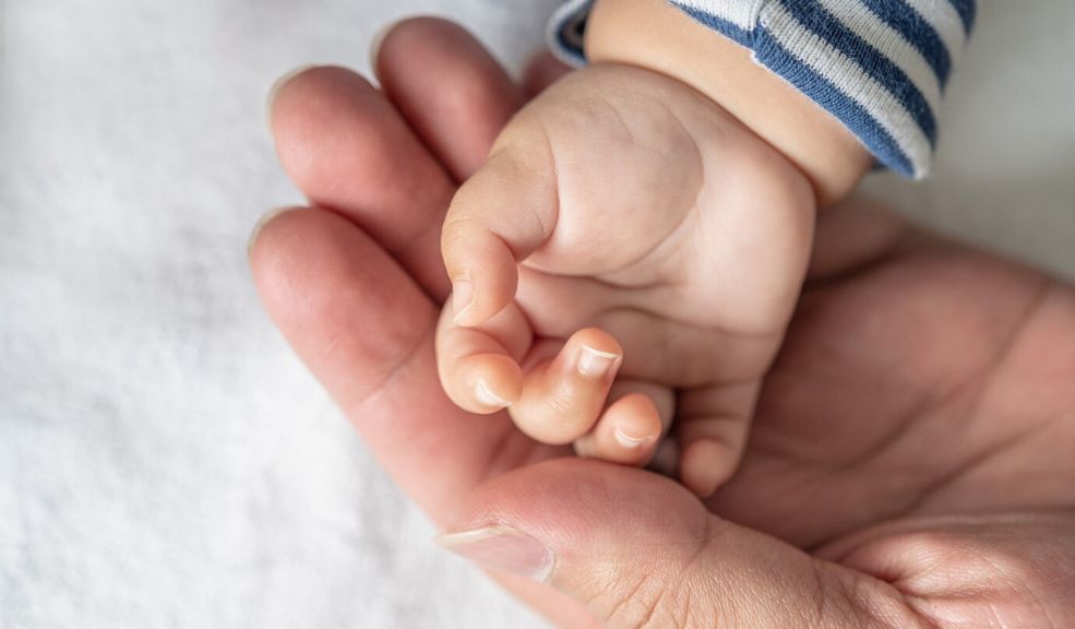 ¡Tragedia familiar! Niño de 2 años murió ahogado tras caer en una alberca