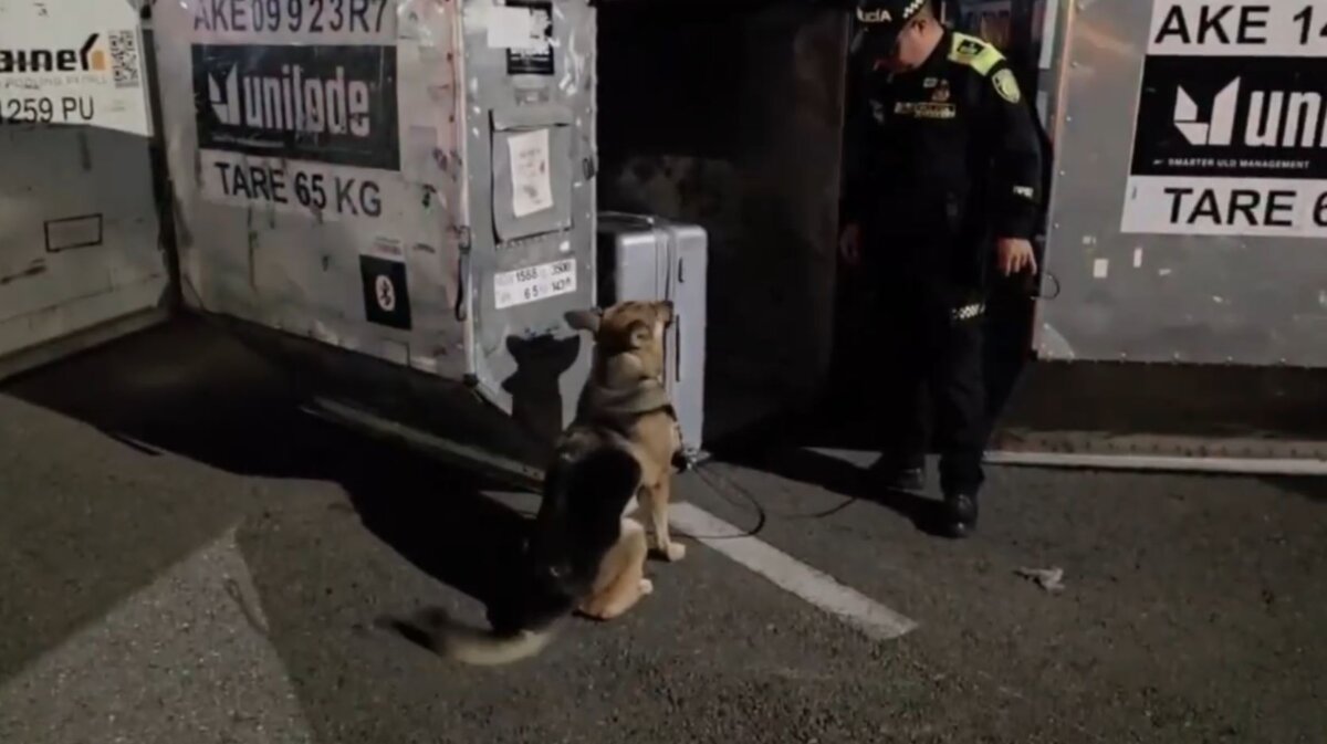 Querían sacar 28 kilos de cocaína desde el aeropuerto El Dorado 1 Querían sacar 28 kilos de cocaína desde el aeropuerto El Dorado