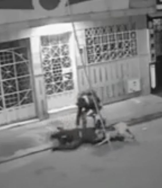 Sujeto utilizó a su perro para atracar en Puente Aranda y lo abandonó tras el robo