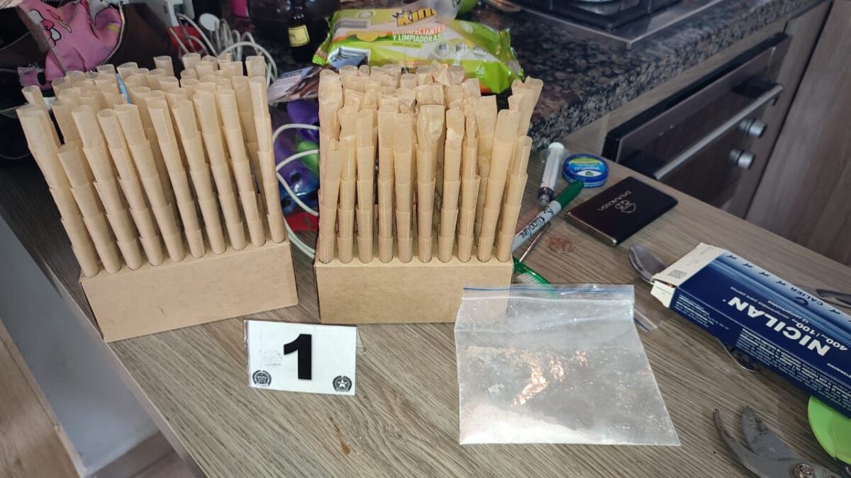 Encontraron tremendo cultivo de marihuana dentro de un conjunto en Madrid 3 Encontraron tremendo cultivo de marihuana dentro de un conjunto en Madrid Al ingresar al inmueble, los uniformados descubrieron dos habitaciones completamente adaptadas como cultivo de marihuana.