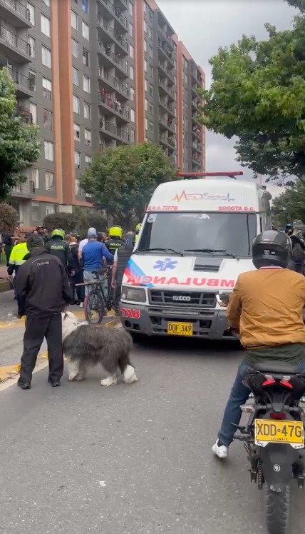 Agarraron dos ladrones en Suba: uno de ellos resultó con una fractura El hecho se presentó a tempranas horas de la mañana en el barrio Lombardia.