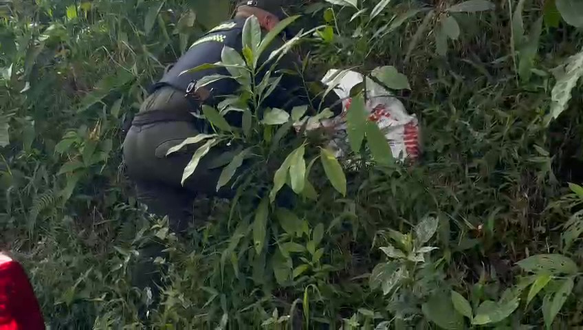Policía rescató a perrito abandonado en zona boscosa de Cachipay 1 Policía rescató a perrito abandonado en zona boscosa de Cachipay