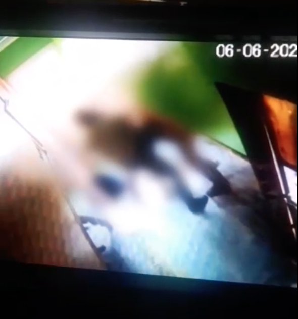 Ataque en Usme: mujer fue apuñalada 10 veces por su expareja En cámaras de seguridad quedó registrado el brutal ataque donde una mujer fue apuñalada 10 veces por parte de su expareja.