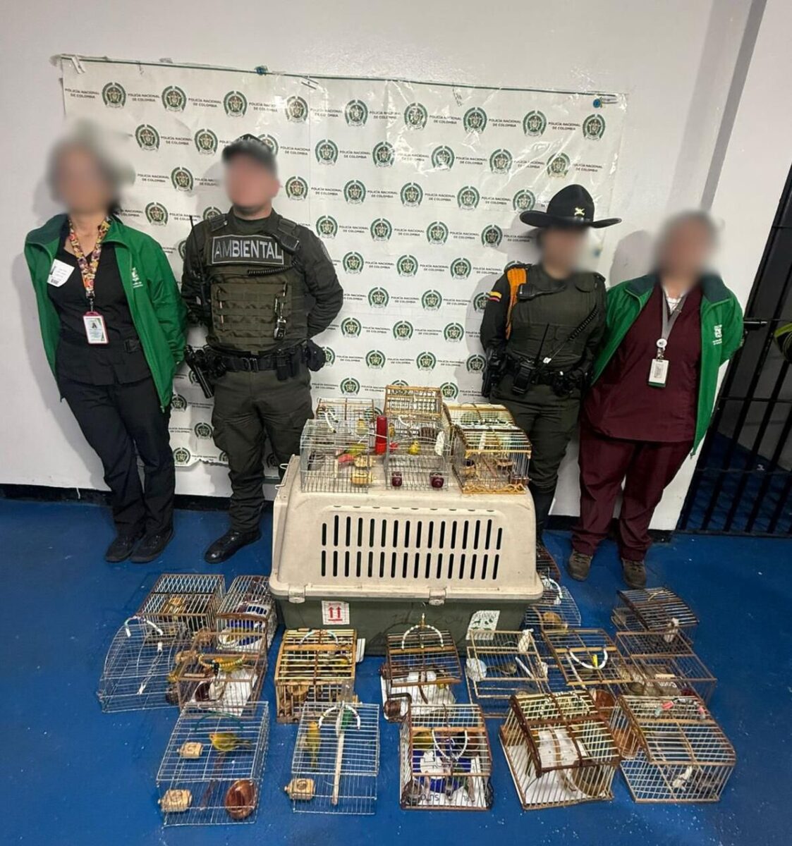 Capturan a 4 personas en Rafael Uribe Uribe por obligar a 'cantar' 23 aves ilegalmente
