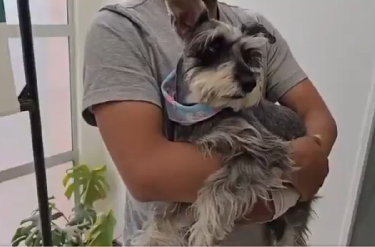 Capturan a dos extorsionistas tras robar una mascota en Chapinero 2 Capturan a dos extorsionistas tras robar una mascota en Chapinero