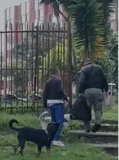 Jóvenes en Kennedy denuncian agresión y amenazas por parte de escoltas 1 Jóvenes en Kennedy denuncian agresión y amenazas por parte de escoltas Escoltas privados son señalados de agredir y amenazar con armas de fuego a jóvenes de la comunidad de Kennedy tras un altercado por un perro.