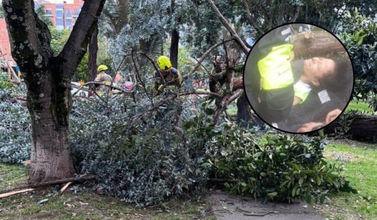 Mujer de 65 años resulta herida después que le cayera un árbol en Fontibón