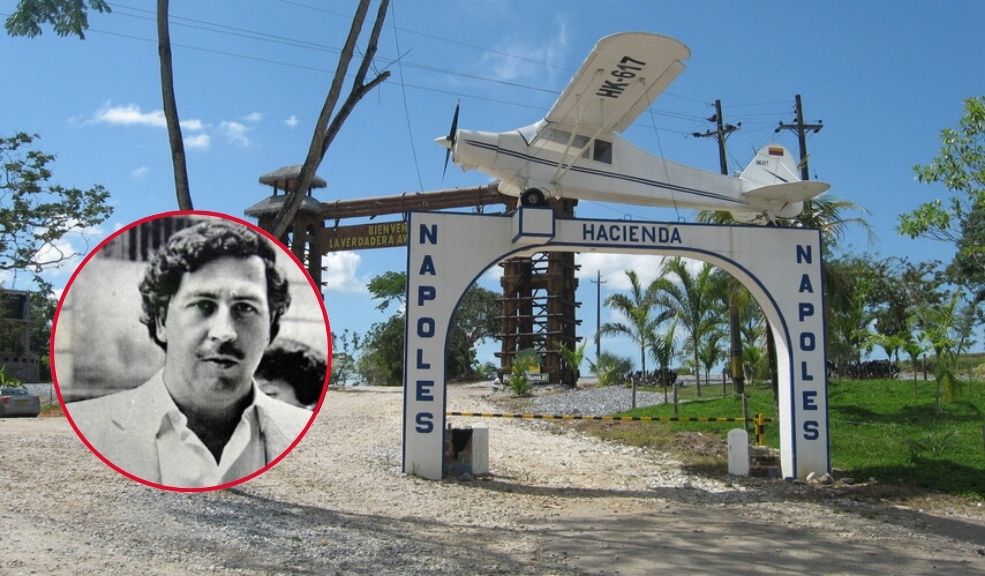Las excentricidades más salvajes de los narcos colombianos 3 Las excentricidades más salvajes de los narcos colombianos Desde caballos que cuestan millones de dólares hasta islas paradisíacas donde también se alojaban estrellas de rock, estos fueron algunos de los lujos que se dieron algunos de los narcotraficantes más recordados de Colombia.