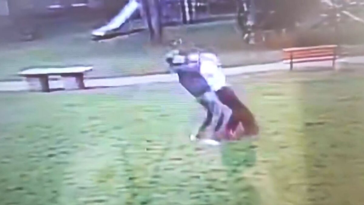 Repudio en redes sociales por caso de agresión a mascota y su dueña Rechazo y repudió el video de un hombre que agredió a una mujer y su mascota en un parque de la localidad de Suba.