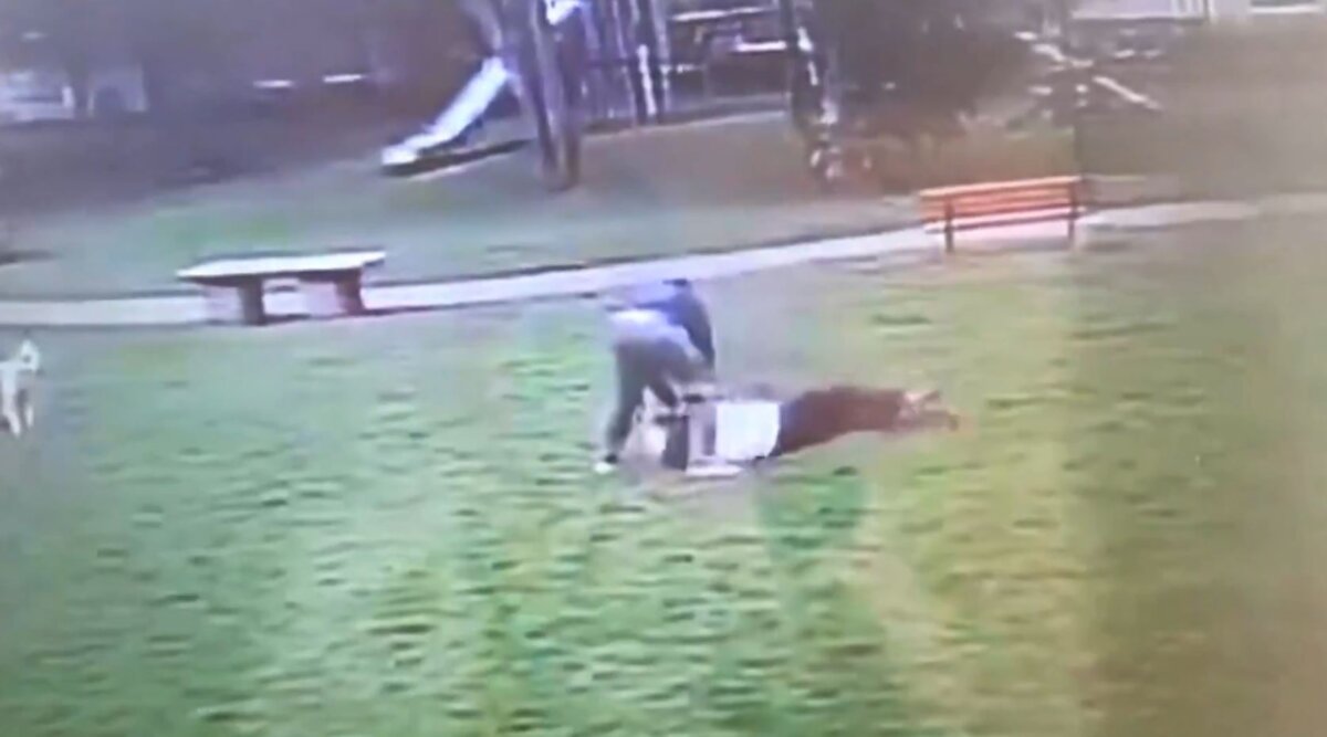 La violenta escena tuvo lugar en el Parque el Pinar de Suba. 