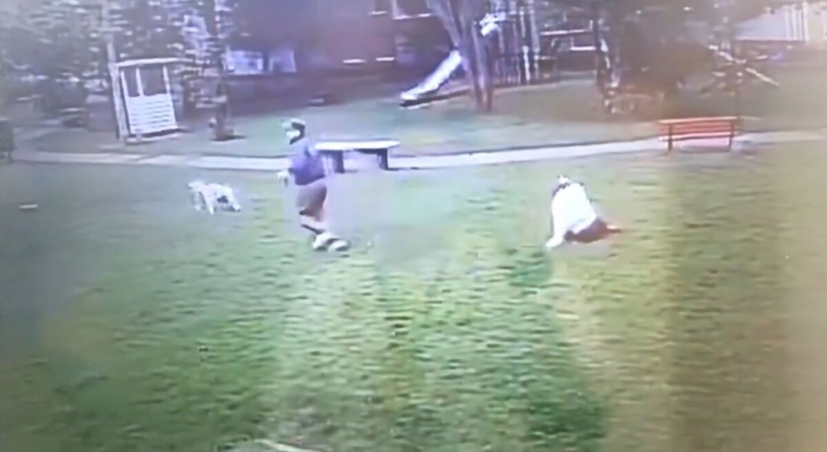 El sujeto huyó del lugar luego de agredir a una mascota y a su dueña.