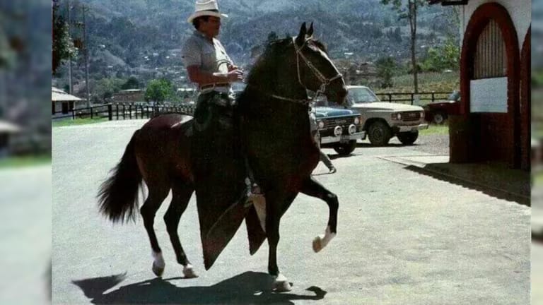 Las excentricidades más salvajes de los narcos colombianos 1 Las excentricidades más salvajes de los narcos colombianos Desde caballos que cuestan millones de dólares hasta islas paradisíacas donde también se alojaban estrellas de rock, estos fueron algunos de los lujos que se dieron algunos de los narcotraficantes más recordados de Colombia.