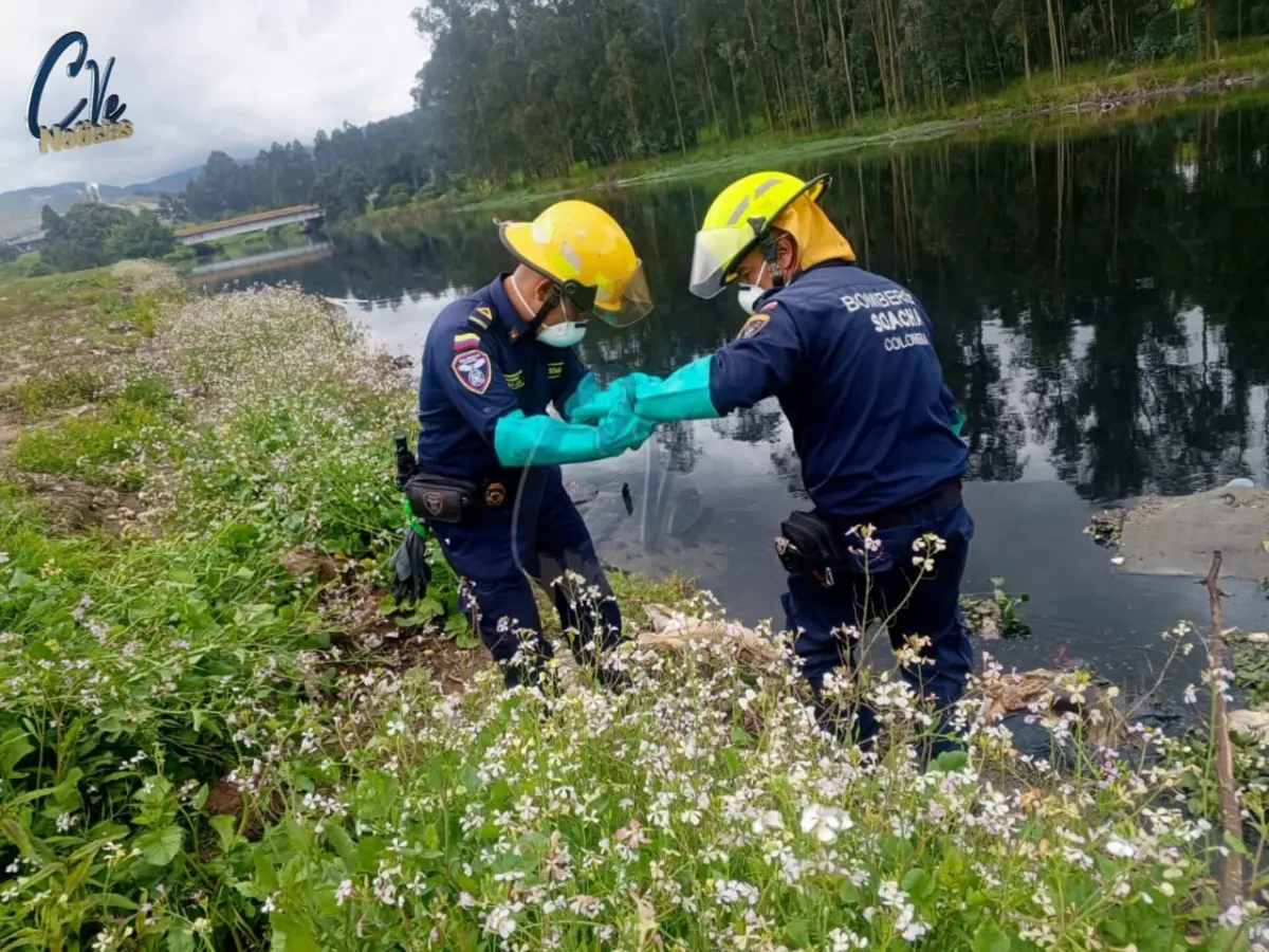 Terrorífico hallazgo en Soacha: un cadáver envuelto en el Río Bogotá El macabro descubrimiento tuvo lugar en la represa de 'Alicachín', donde Bomberos Voluntarios de Soacha recuperaron el cadáver de un hombre que fue encontrado envuelto en sábanas dentro del Río Bogotá.