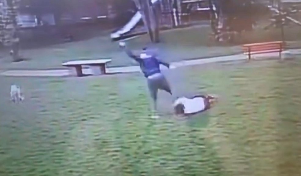 Sacó a pasear a su perro y fue golpeada