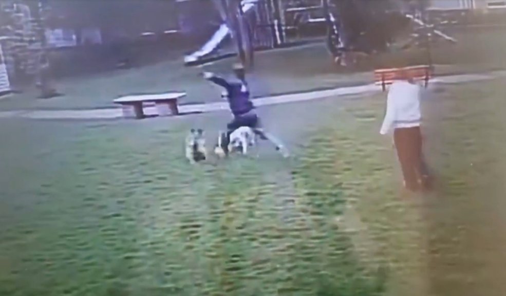 Sacó a pasear a su perro y fue golpeada