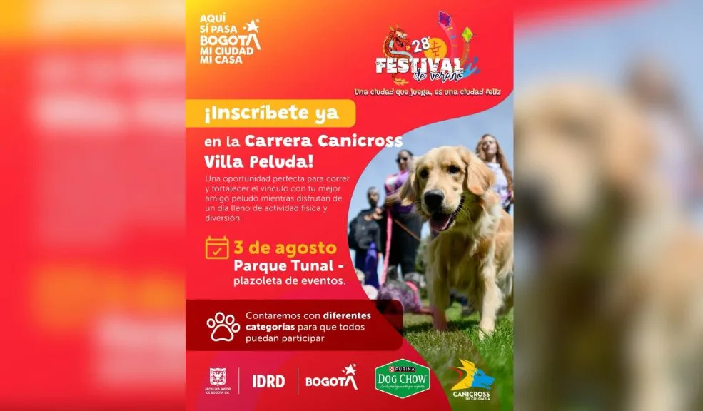 carrera canicross
