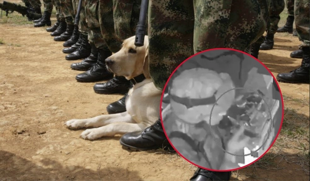 Ejército en la mira: investigan a militares por presunto consumo de drogas dentro
