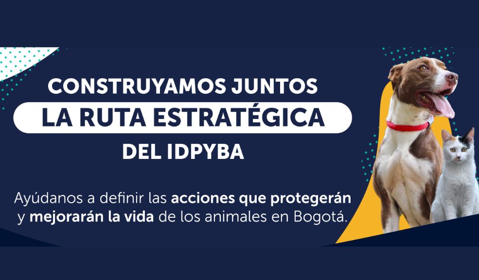 convocatoria