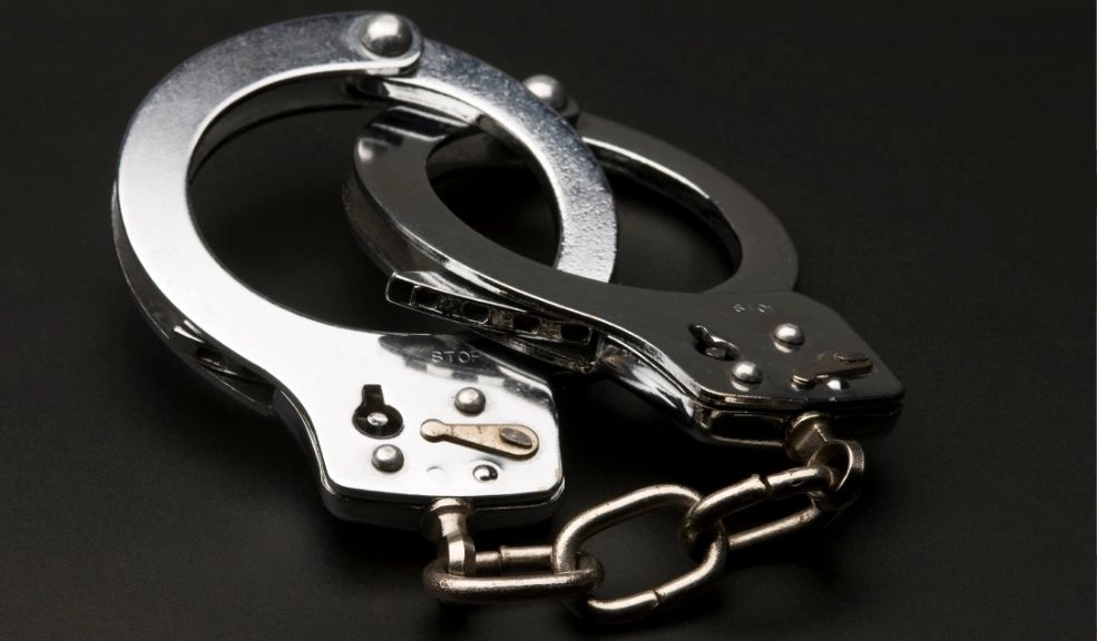 Judicializan a un miembro de la banda los Zorros II por homicidio y narcotráfico 2 Judicializan a un miembro de la banda los Zorros II por homicidio y narcotráfico Alias Sargento, presunto cabecilla de Los Zorros II, fue judicializado por homicidio y narcotráfico.