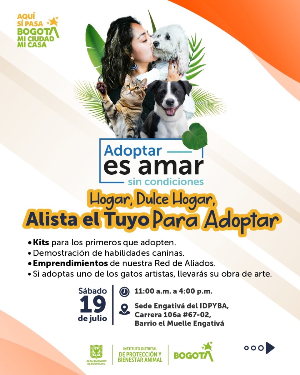 Jornada de adopción: Bogotá realizará una jornada especial este 19 de julio para dar hogar a perros y gatos Bogotá abre sus puertas a la adopción responsable con una jornada especial organizada por el IDPYBA, donde más de 16 perros y gatos rescatados esperan encontrar un hogar.
