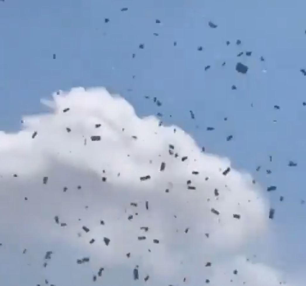Tiraron la herencia desde un helicóptero para homenajear a un muerto Los habitantes de Detroit, Estados Unidos, fueron testigos de una insólita despedida al ver que del cielo caían miles de dólares y pétalos de rosa de un helicóptero como manera de homenaje.