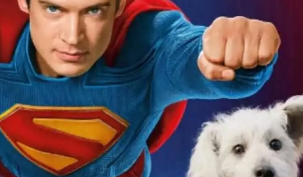 Krypto desata una ola de adopciones: Superman (2025) inspira a miles a buscar un perro 1 superman